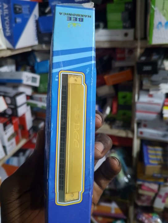 Bee Harmonica Mouth Organ Musical Instrument