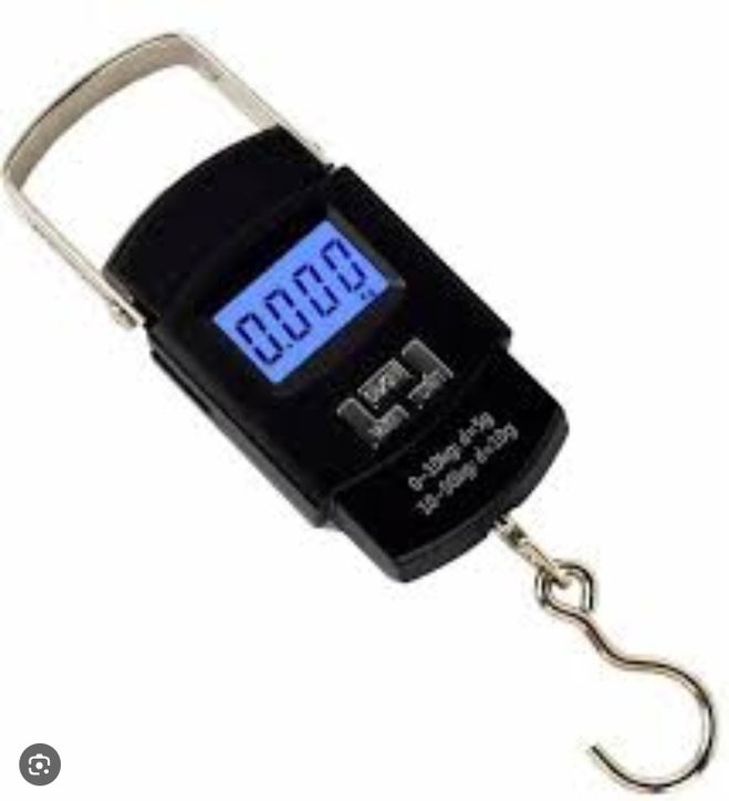 WeiHeng portable electronic scale