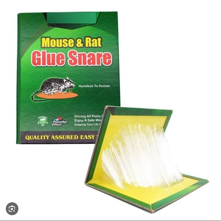 Hovex Green mouse and rat glue trap.